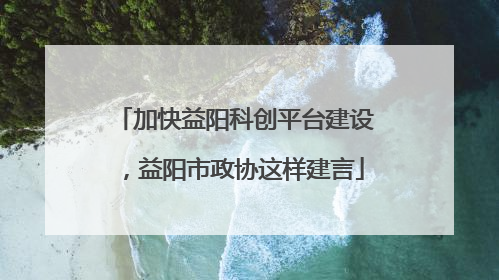 加快益阳科创平台建设，益阳市政协这样建言